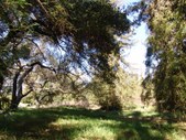 Enlarge photo 33