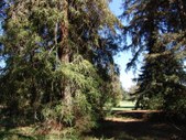 Enlarge photo 34