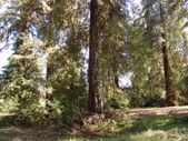 Enlarge photo 35