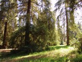 Enlarge photo 36