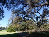 Enlarge photo 37