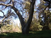 Enlarge photo 38