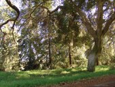 Enlarge photo 39