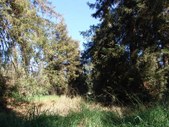 Enlarge photo 41