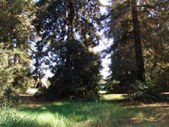 Enlarge photo 42