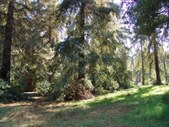 Enlarge photo 43