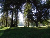 Enlarge photo 44