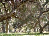 Enlarge photo 19