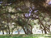 Enlarge photo 28