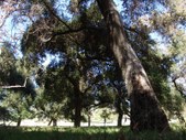 Enlarge photo 32