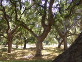 Enlarge photo 33