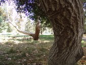 Enlarge photo 34
