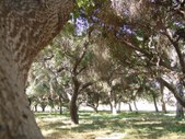 Enlarge photo 36
