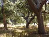 Enlarge photo 37