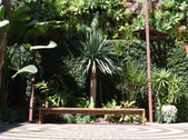 Enlarge photo 78