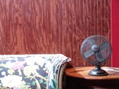 Enlarge photo 47