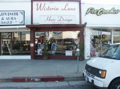 WISTARIA LANE HAIR DESIGN