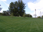 Enlarge photo 29
