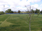 Enlarge photo 34