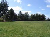 Enlarge photo 37