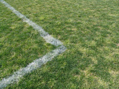 Enlarge photo 41
