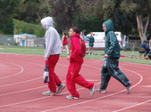 Enlarge photo 199