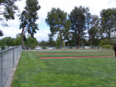 Enlarge photo 205