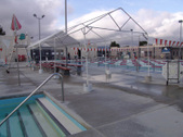 Enlarge photo 91