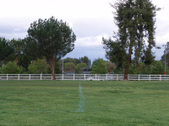 Enlarge photo 141
