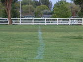 Enlarge photo 142
