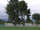 Enlarge photo 151