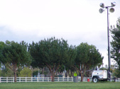 Enlarge photo 152