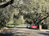 Enlarge photo 17