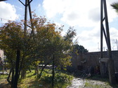 Enlarge photo 146