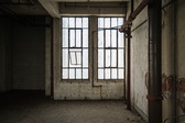 Enlarge photo 62