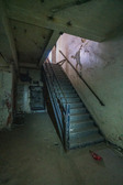Enlarge photo 95