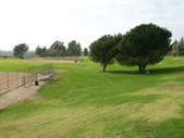 Enlarge photo 40