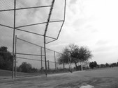 Enlarge photo 45