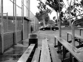 Enlarge photo 30