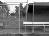 Enlarge photo 37