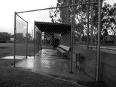 Enlarge photo 47