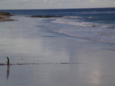 Enlarge photo 33