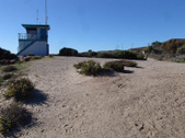 Enlarge photo 29