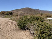 Enlarge photo 30