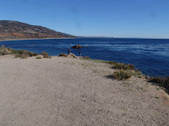 Enlarge photo 41
