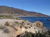 Enlarge photo 46