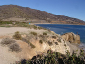 Enlarge photo 49