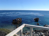 Enlarge photo 53