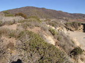 Enlarge photo 59