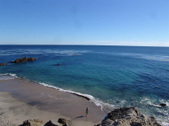 Enlarge photo 61
